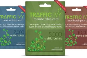 Traffic Ivy Review- Why You Should Own This Brand Right Now?