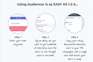 Audiencer-Review