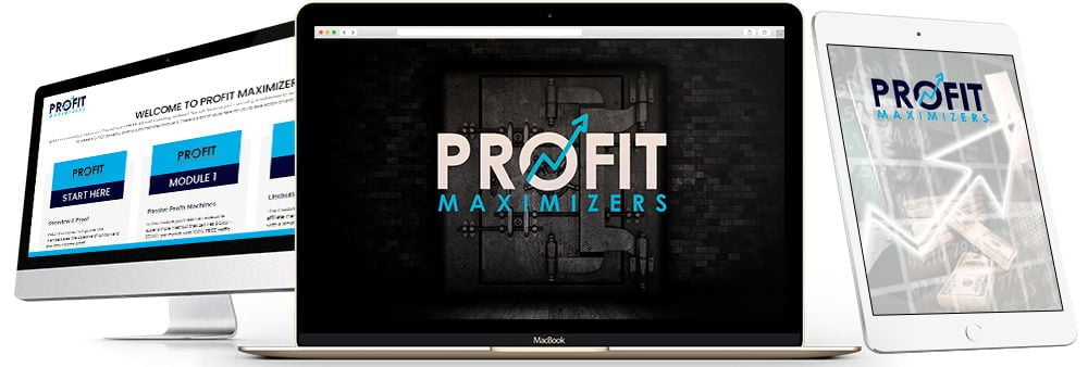 Profit-Maximizers-Review