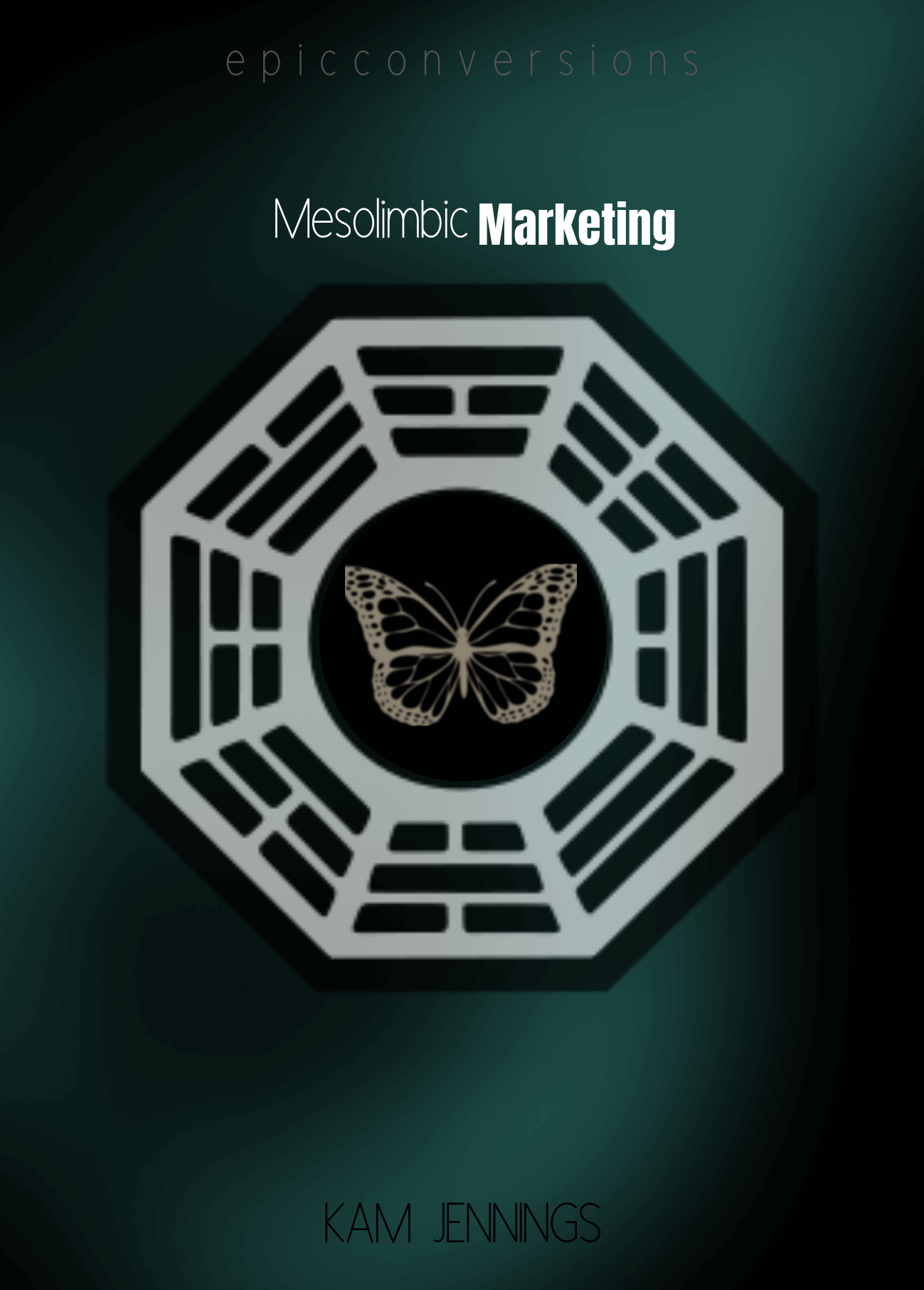 Mesolimbic-Marketing-review
