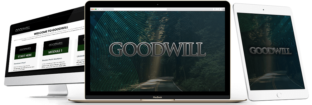 Goodwill-Review