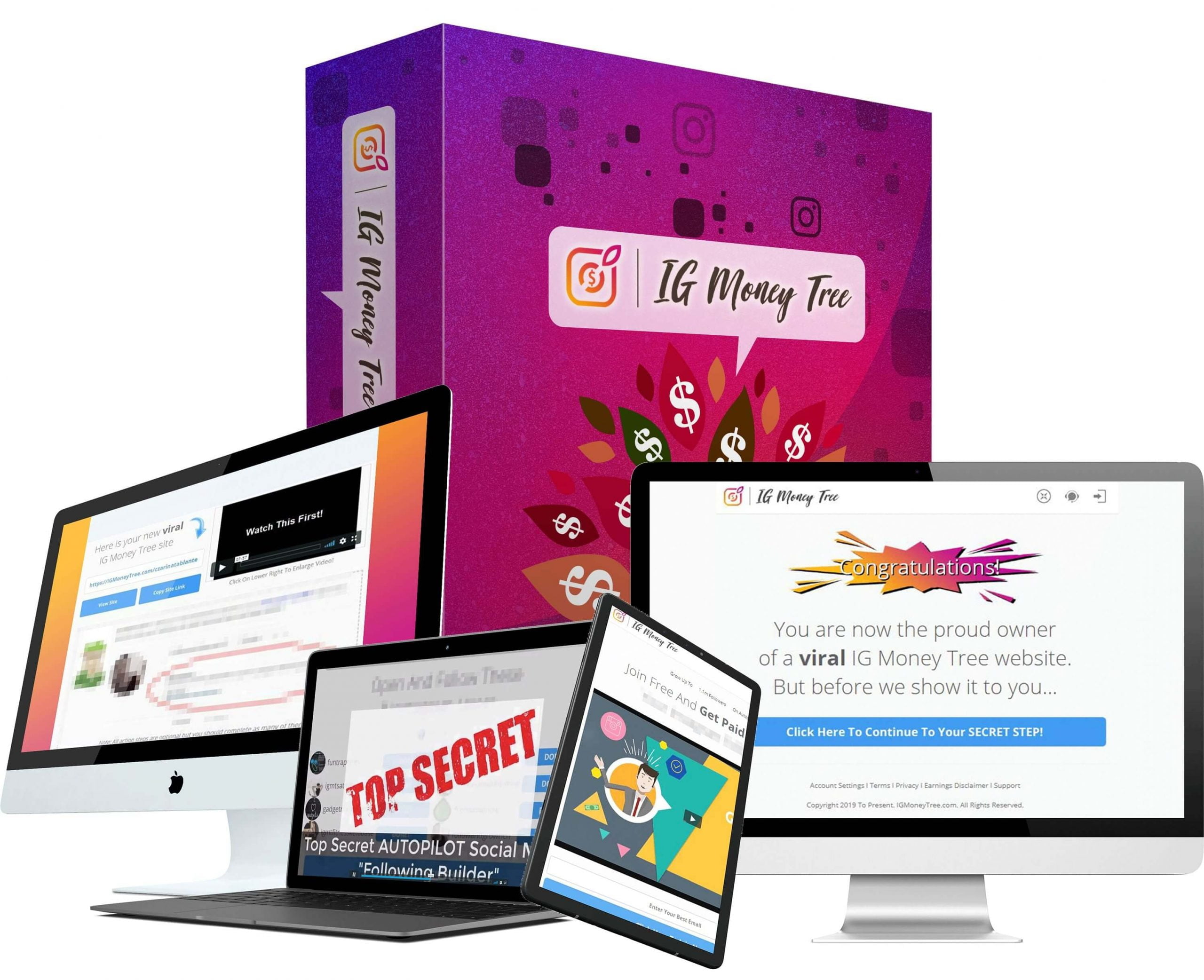 IG-Money-Tree-Review