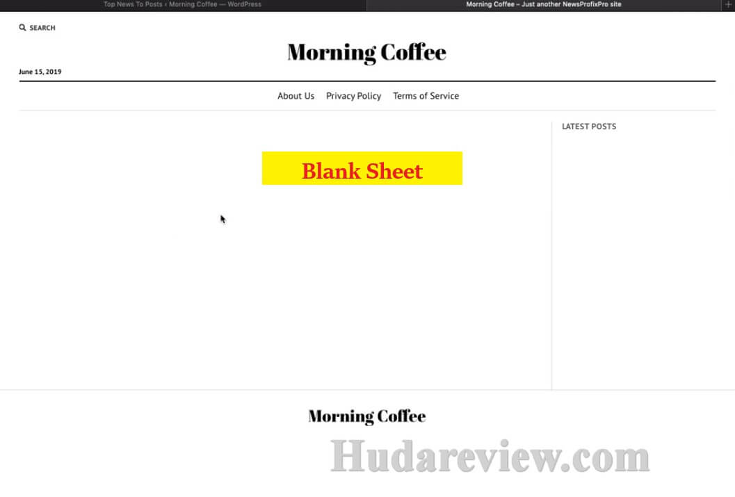 NewsProfixPro-Review-6