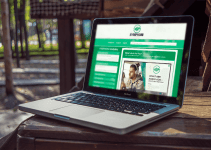 Symphoni Review – The Best Way To Drive Traffic From Spotify Advertising
