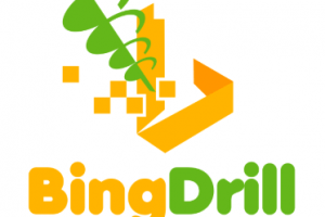 BingDrill Review: The Definitive Guide To Bing Ads