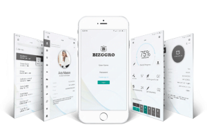 Bizggro Review- Strongly Support Your Business Growth