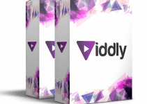 Viddly Review- New Software Creates Pages With Built-In Automated Traffic