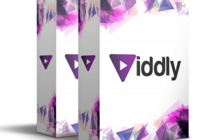 Viddly Review- New Software Creates Pages With Built-In Automated Traffic