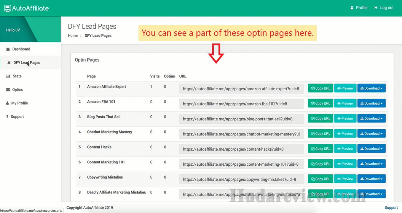 DFY-Lead-Pages-Review-Step-2-2