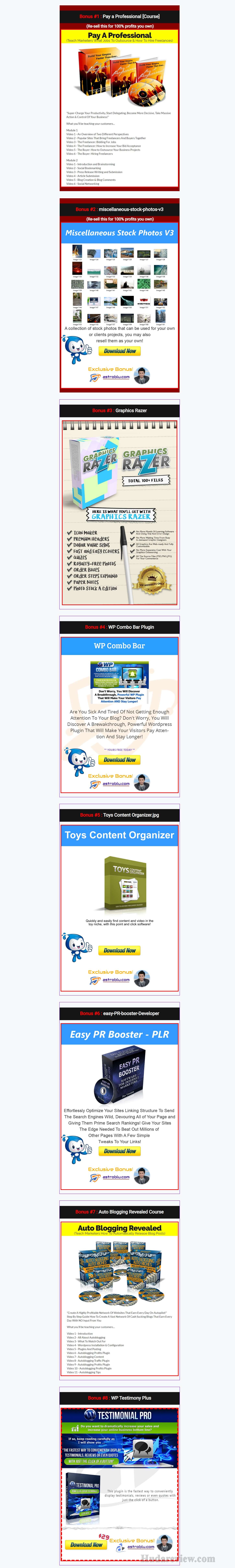 MegaStore-WP-Theme-Review-Bonuses1