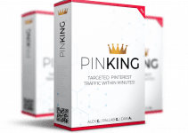 Pinking Review – The Empowerment Of Visual On Marketing