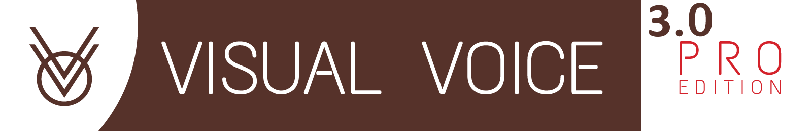 Visual-Voice-Pro-3-Logo