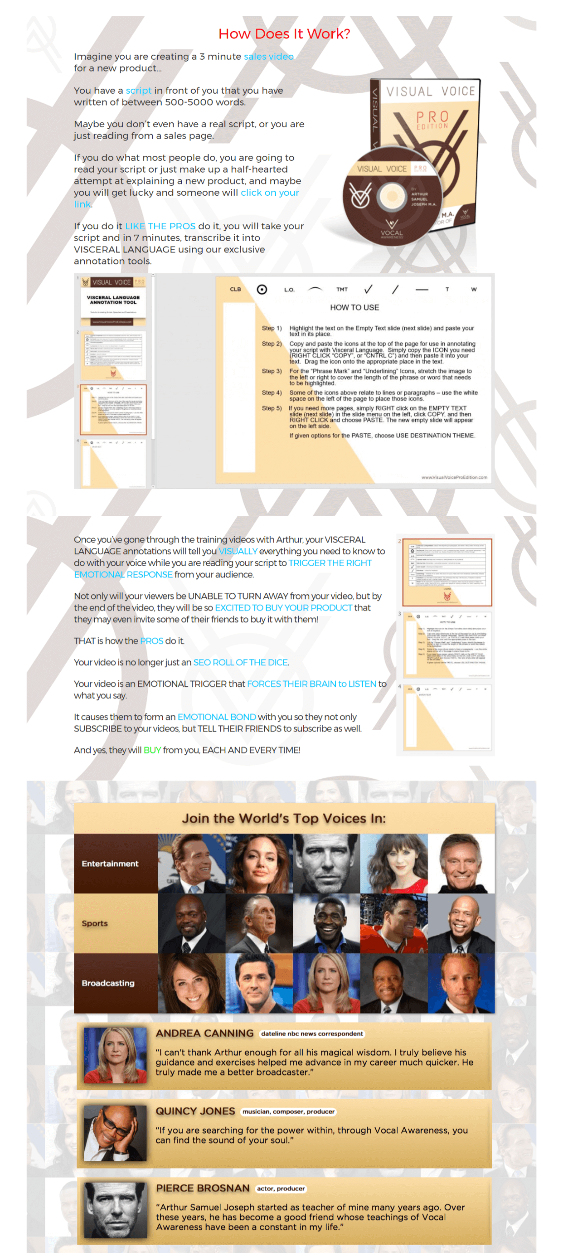 Visual-Voice-Pro-Steps