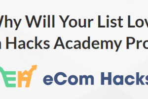 Ecom Hacks Academy Review: The World Class Ecom Training Provided By Professional Entrepreneurs
