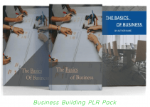 Business Startup PLR Review: The quality content to grow your list & magnetize unlimited leads