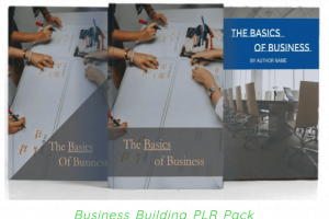 Business Startup PLR Review: The quality content to grow your list & magnetize unlimited leads
