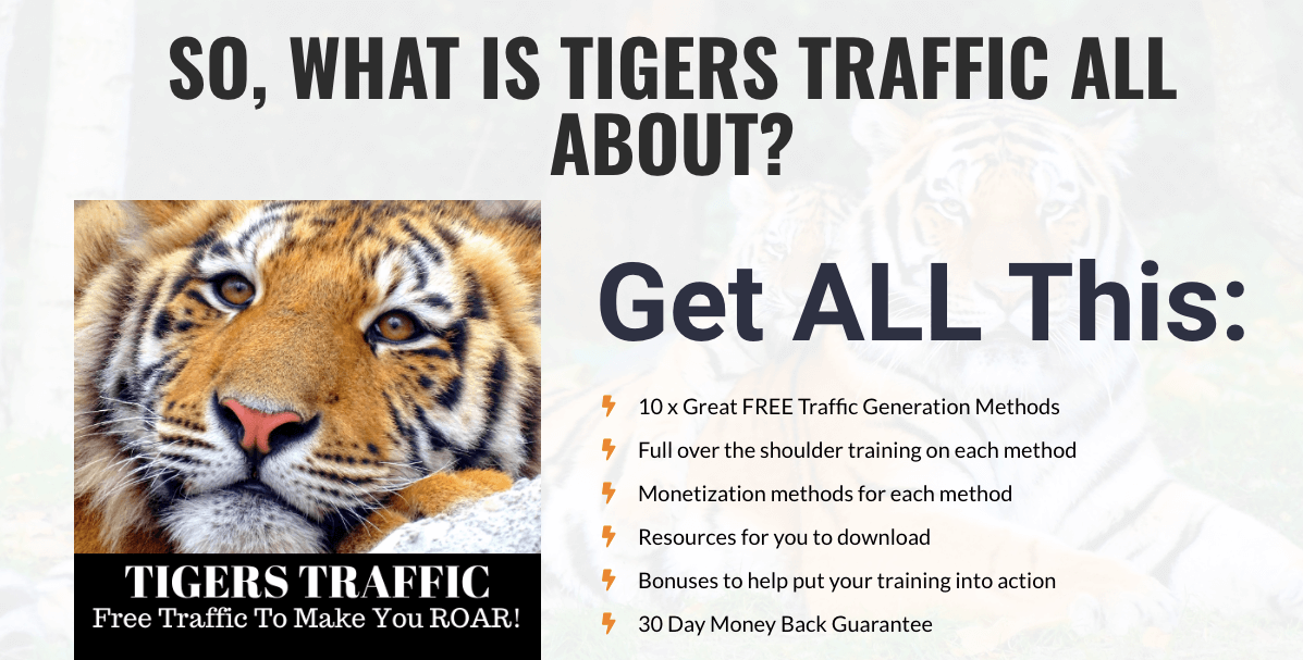 Tigers-Traffic-Review-1