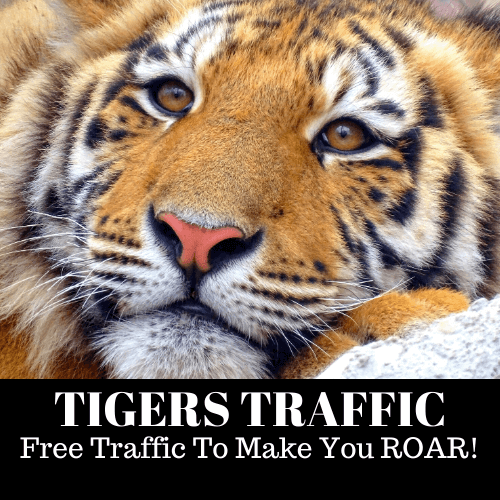 Tigers-Traffic-Review