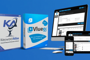 Vlueo Review- Find Out The Right Leads In 1 Minute