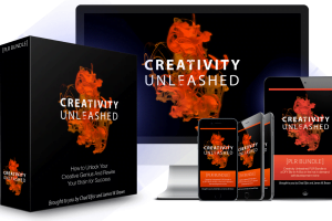 Creativity Unleashed PLR Bundle Review- Valuable DFY Content To Rocket Your Creativity