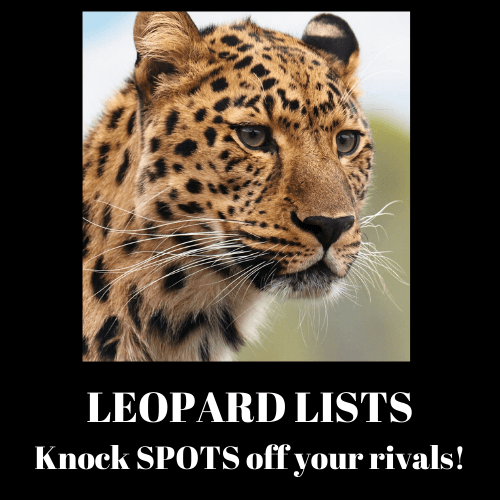Leopard-Lists-Review