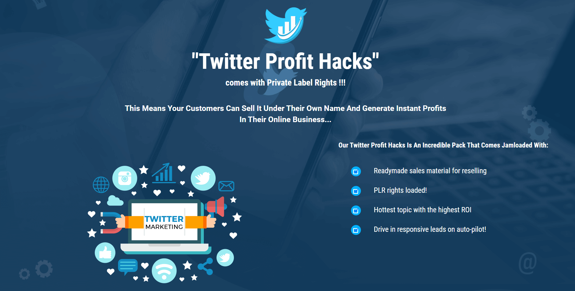 Twitter-Profit-Hacks-PLR-Review-1