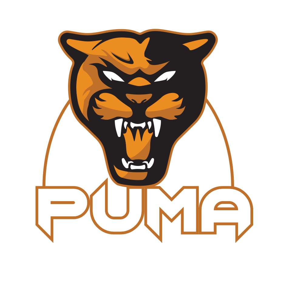 Puma Products Review - Start Launching A Product With No Exp