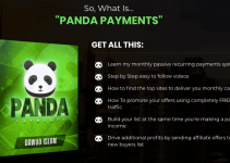 Panda Payments Review- Step By Step Easy To Follow Videos
