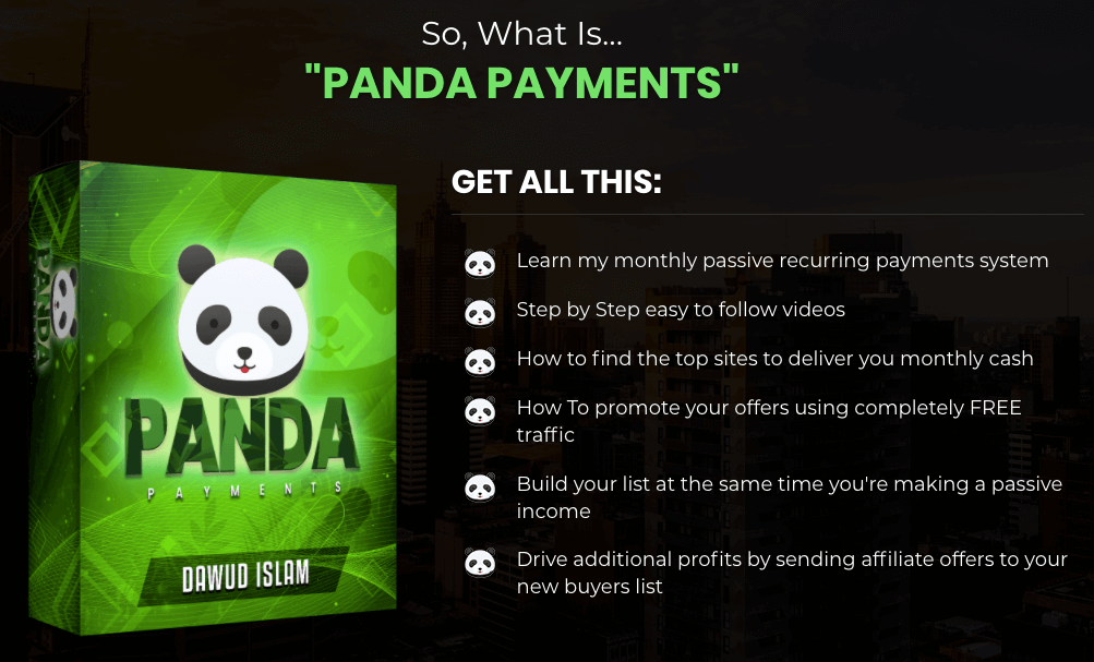 Panda-Payments-3