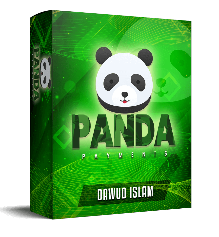 Panda-Payments-Review