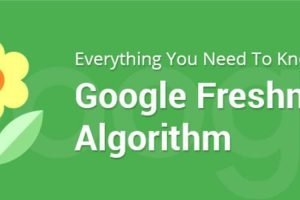 Google Freshness Algorithm: What SEOer Need to Know