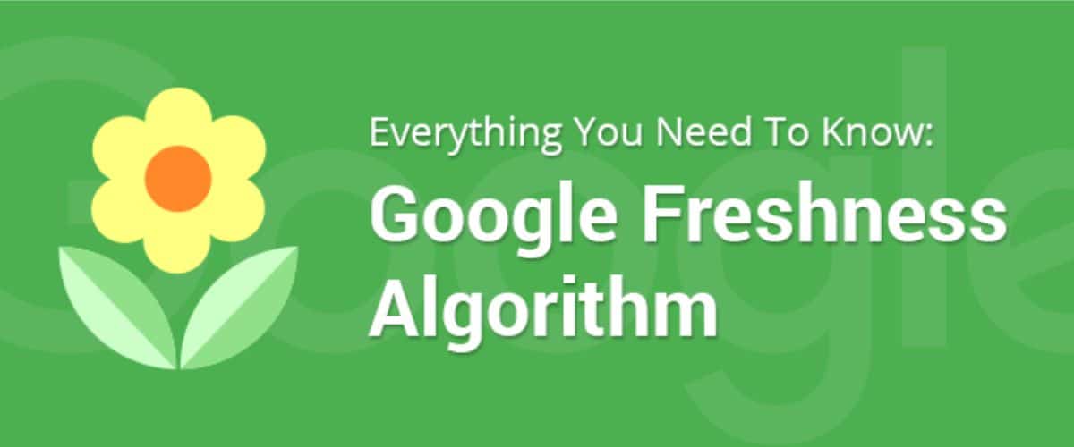 Google Freshness Algorithm What SEOer Need to Know