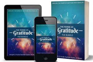 The Power Of Gratitude PLR Review- Check this amazing PLR package for your success!