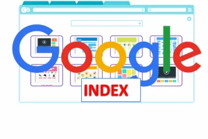 Summary Of 16 Reasons Why Google Terminates Website Index