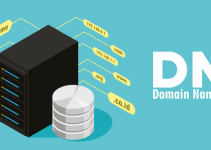 What Is DNS? Usage And Common DNS Server Types