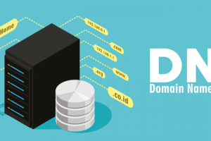 What Is DNS? Usage And Common DNS Server Types