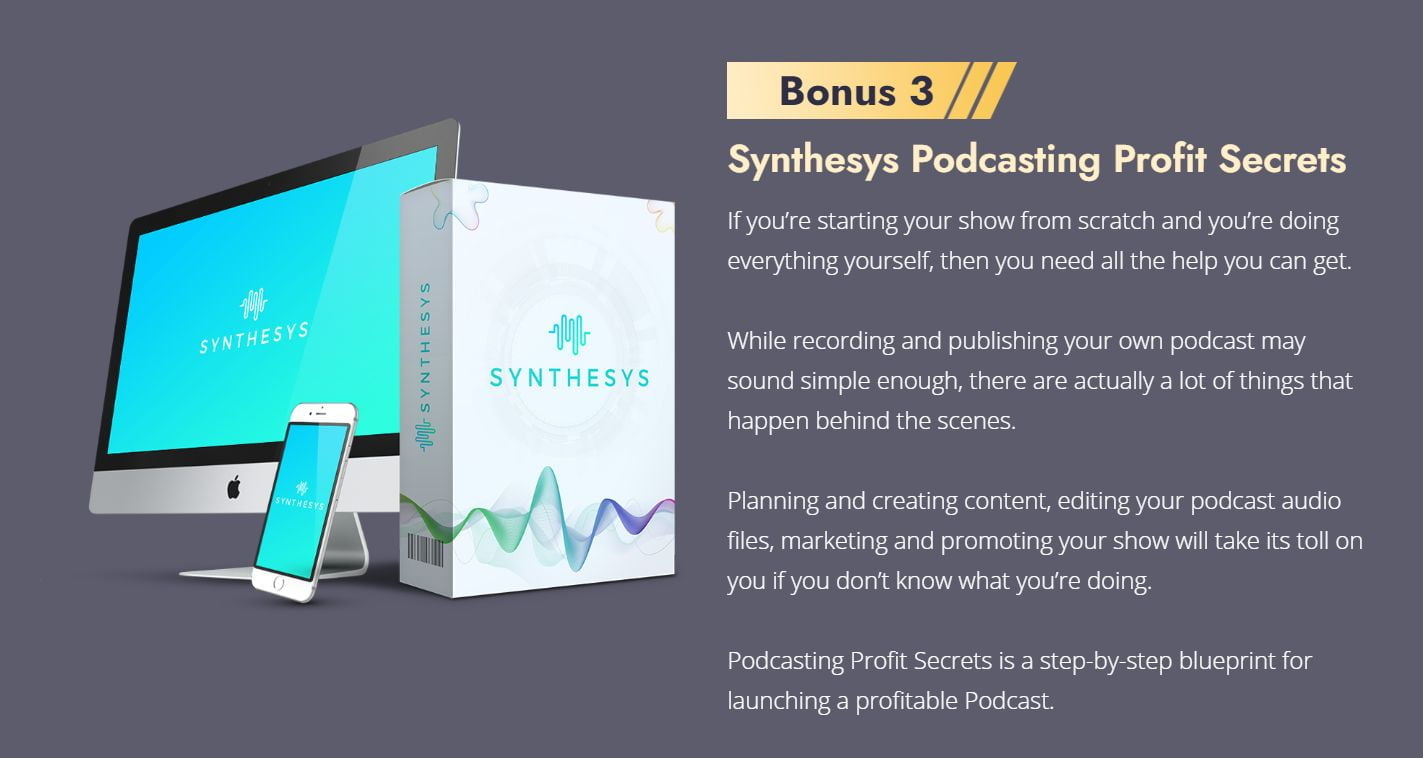 Synthesys-bonus-3