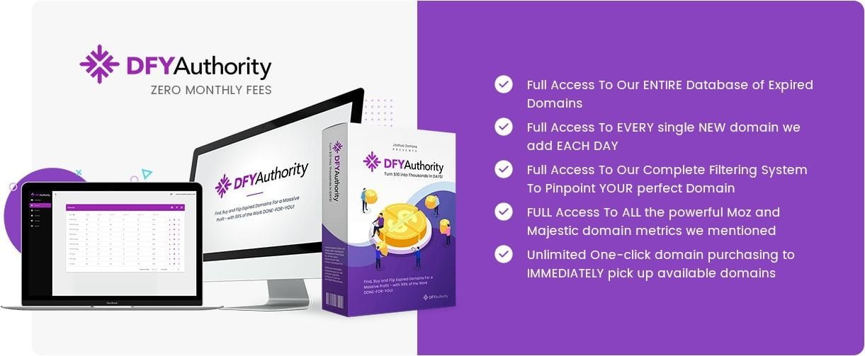 DFY-Authority-price