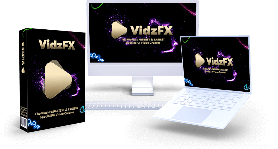 VidzFX-Review