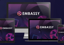 Embassy Review- DFY daily income system