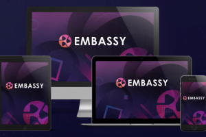 Embassy Review- DFY daily income system