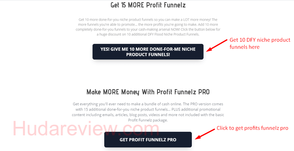 Profit-Funnelz-Review-Step-8