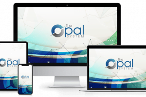 The Opal System Review- Start With A Bang With Under $17