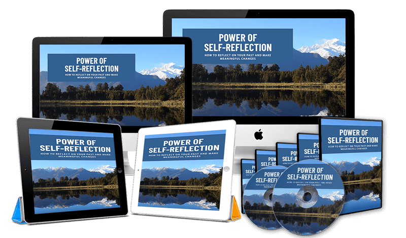 PLR-Power-Of-Self-Reflection-Review