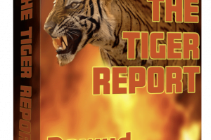 The Tiger Report review: All exact strategies that you can use to succeed in 2022