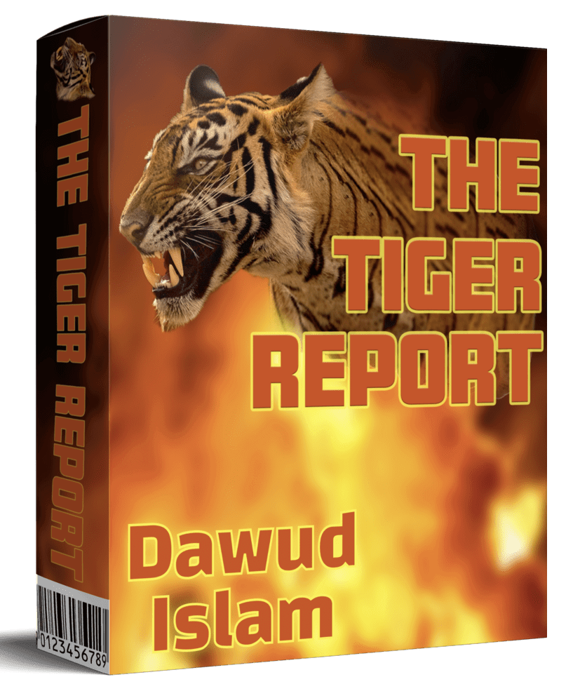 The-Tiger-Report-Review