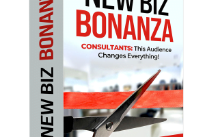 New Biz Bonanza Review- How To Reach The Customers Successfully And Effectively
