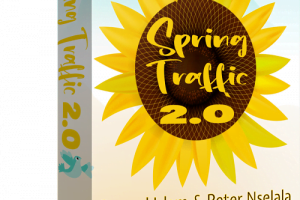 Spring Traffic 2.0 review: Exploit these sources for unlimited traffic in 2023