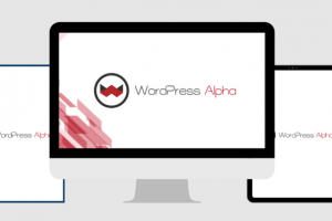 WordPress Alpha Review: An evolutionary tool helps your website get top 1 Google automatically