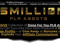 15 Million PLR Assets Review: Content, Creativity, Cash: Everything You Need To Jumpstart Your Income Stream